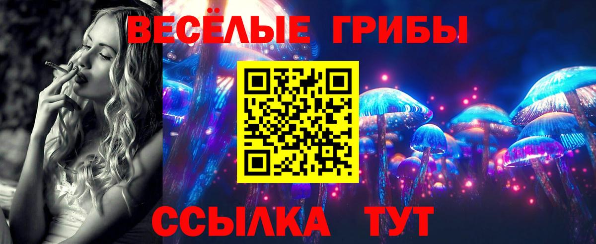 даркнет сайт  Псилоцибиновые грибы Psilocybe  Вход с VPN  Курск 
