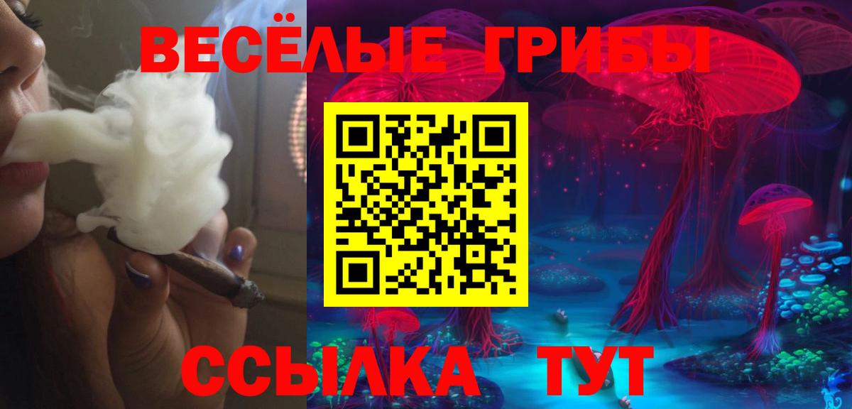 Псилоцибиновые грибы мухоморы Курск